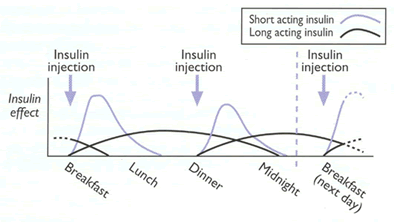 Long Acting Insulin Chart